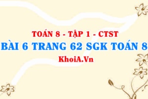 Bài 6 trang 62 SGK Toán 8 Tập 1 Chân trời sáng tạo